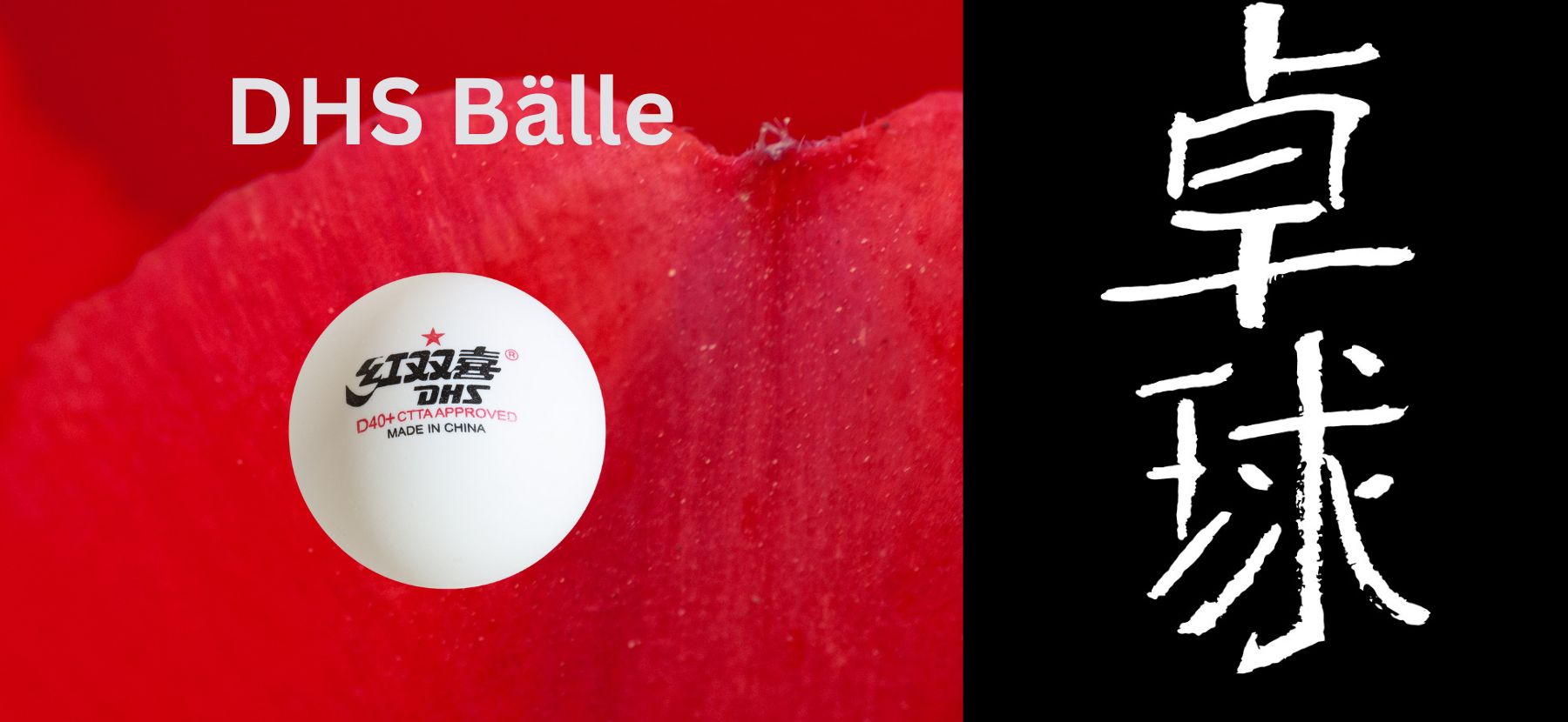 DHS Table Tennis Balls