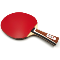 Professional Allround Table Tennis Bat	
