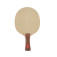 Stiga Allround Evolution - Direct front view of the racket