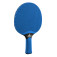 Joola VIVID Outdoor, blau