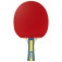Joola Team Master - picture of the red surface from the front