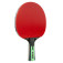 JOOLA Mega Carbon - Racket from an angled perspective