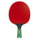 JOOLA Mega Carbon - frontal view of the racket