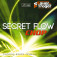 Sauer and Tröger Secret Flow Chop - This is how it looks when delivered