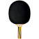 Donic Schildkröt Top Team 500 - direct front view of the racket