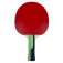 Butterfly Timo Boll Smaragd