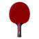 Butterfly Timo Boll Ruby