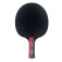 Butterfly Timo Boll Ruby