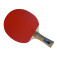 Gewo Rave Speed - Racket photographed slightly twisted