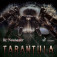 Dr. Neubauer Tarantula - Everything is visible here: Product & packaging
