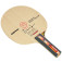 Donic Waldner Senso Carbon - Racket in angled presentation
