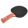 Donic Waldner 600 Review