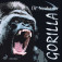 Dr. Neubauer Gorilla A-B-S - Here you can see the set: Product & packaging