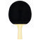 Tibhar Fun Samsonov - focus on the black side