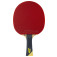 Tibhar Master Yellow Edition - front view