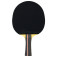 Tibhar Rookie Jorgic - Front view of the black side