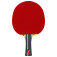 Tibhar Rookie Jorgic - red side directly in focus