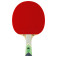 Tibhar xXx Green Edition - straight view of the red side