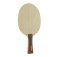 Stiga Allround Evolution - Raqueta inclinada