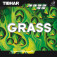 Tibhar Grass - Paquete y producto de un vistazo