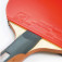 Gewo CS Energy Carbon - Madera desde una Perspectiva Inusual