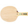 Donic Waldner Senso V2 - inclinado y frontal