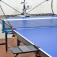 Donic Robo Pong 3050XL - Máquina de pelotas equipada con control por aplicación