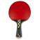 JOOLA Carbon Pro Raqueta de Tenis de Mesa - Raqueta fotografiada con un ángulo biselado genial