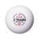Nittaku Premium 40+ - Vista única de una pelota