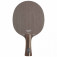 Stiga Dynasty Carbon - Vista central