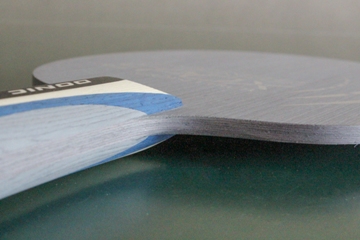 Donic Epox Control Chapa lateral 