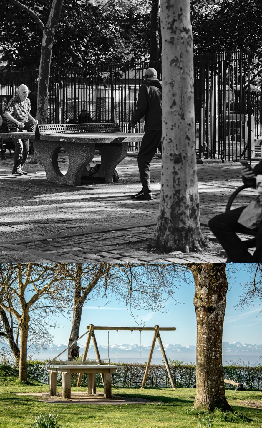 Public Institutions