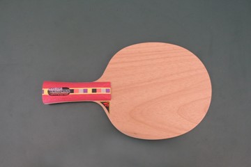  Donic Ovtcharov Senso V2 - Side view 