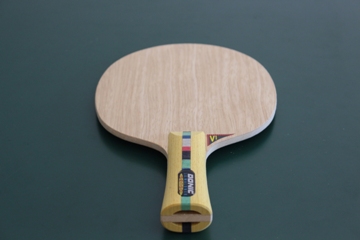 Vista frontal de Donic Waldner Senso V1 